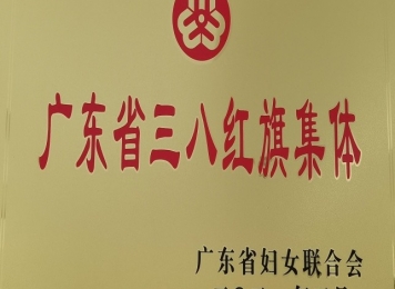 生殖分院获广东省三八红旗集体、中山市三八红旗集体称号