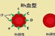 血温人更暖，给患者血液中的不规则抗体制作一张“身份证明”