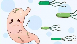 美國(guó)將幽門(mén)螺旋桿菌列為明確致癌物！一篇終結(jié)你所有疑問(wèn)