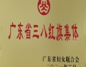 生殖分院荣获广东省三八红旗集体、中山市三八红旗集体称号