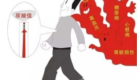 尿酸高该怎么吃？这些“尿酸炸弹”要注意