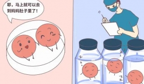 带“试管宝宝”回家后，这样做可以提高成功率！