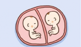 “双胎妊娠”是喜是忧？要注意什么？关注双胎孕妈的专属服务→