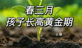 晚睡1小时少长高30%？？三大关键抓住春季长高黄金期……家长必看！