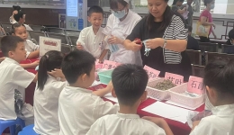 三伏天养生模式开启，市民到医院趁热打“贴”