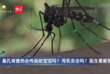 视频 | 基孔肯雅热会传染给宝宝吗？母乳安全吗？医生最