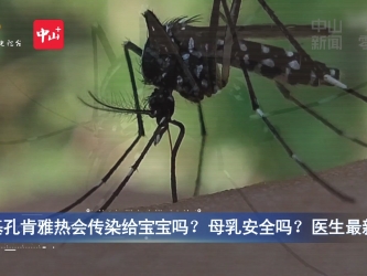 视频 | 基孔肯雅热会传染给宝宝吗？母乳安全吗？医生最