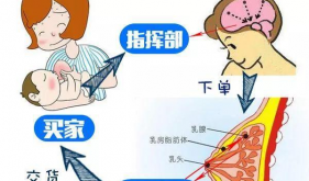 经期胀痛，产后涨奶，术后如何康复？这个专科护理门诊，专治它们→