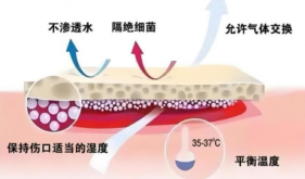 3岁女童臀部大面积溃烂，46天快速愈合！为什么说“湿着养伤”更好？