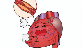 7种人易心衰！11月26日，知心之力，共驭心衰