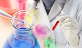 千万别让染色体搭错“积木”！这些关键期没抓住，医生都摇头