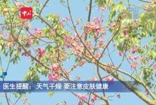 视频 |医生提醒：天气干燥 要注意皮肤健康