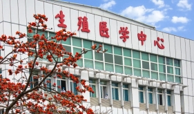 5年未孕，医生却拒绝做试管？人工授精VS试管婴儿，哪种最适合你……