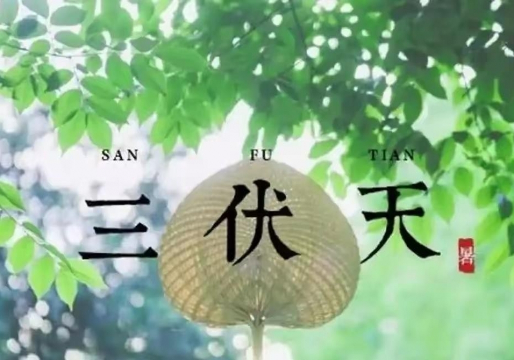 入伏了，三伏天灸开“贴”！温阳祛寒，提高抗病能力~