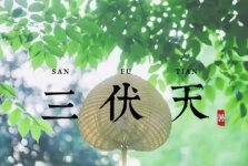 入伏了，三伏天灸开“贴”！温阳祛寒，提高抗病能力~