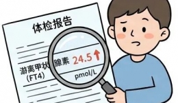 乳腺结节会变成癌症么？体检里的那些乳腺问题，给你说清楚