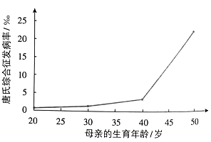 图片3 图片 2