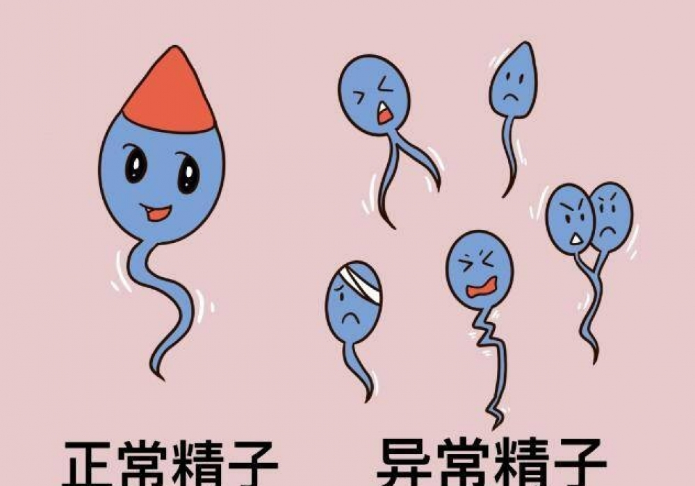 精液检查前为啥要禁欲、查几次？检查攻略(男生请收藏) ！