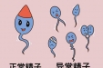 精液检查前为啥要禁欲、查几次？检查攻略(男生请收藏) ！