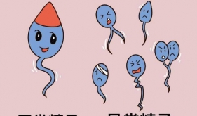 精液检查前为啥要禁欲、查几次？检查攻略(男生请收藏) ！