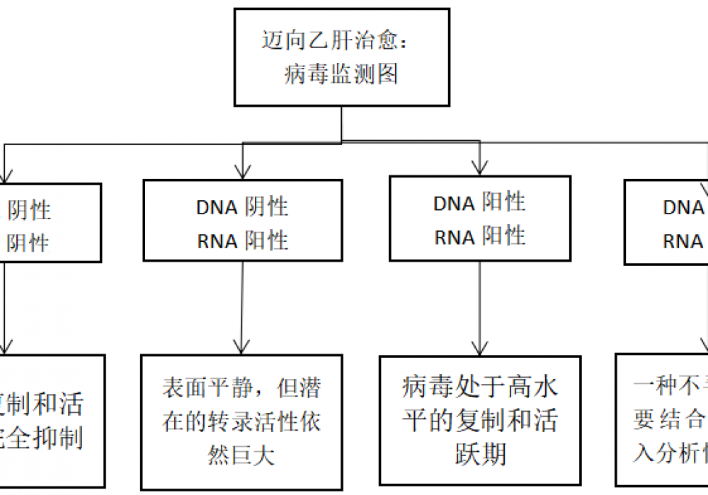 DNA转阴≠乙肝好了！很多人栽在“假转阴”，什么情况才是停药安全线？