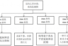 DNA转阴≠乙肝好了！很多人栽在“假转阴”，什么情况才是停药安全线？