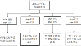 DNA转阴≠乙肝好了！很多人栽在“假转阴”，什么情况才是停药安全线？