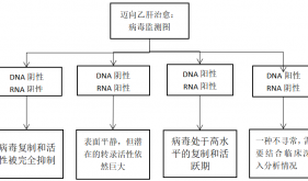 DNA转阴≠乙肝好了！很多人栽在“假转阴”，什么情况才是停药安全线？