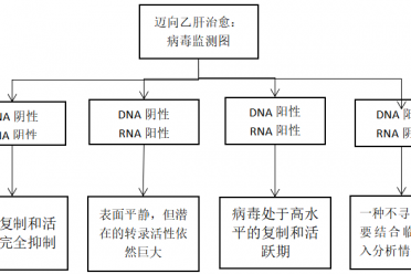DNA转阴≠乙肝好了！很多人栽在“假转阴”，什么情况才是停药安全线？